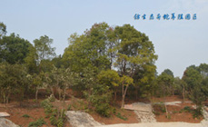 仿生態(tài)異蛇養(yǎng)殖園區(qū)